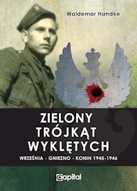 Zielony trójkąt Wyklętych - Handke Waldemar - książka