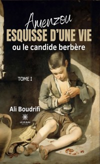 Amenzou - Tome 1 - Ali Boudrifi - ebook
