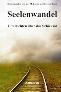 Seelenwandel - Larissa Baiter - ebook