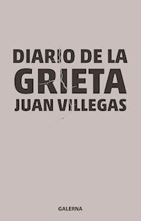 Diario de la grieta - Juan Villegas - ebook