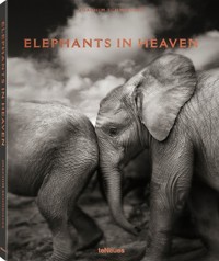 Elephants in Heaven - Schmeisser Joachim - książka