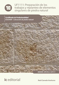Preparación de los trabajos y replanteo de elementos singulares de piedra natural. IEXD0409 - Raúl Canedo Aceituno - ebook