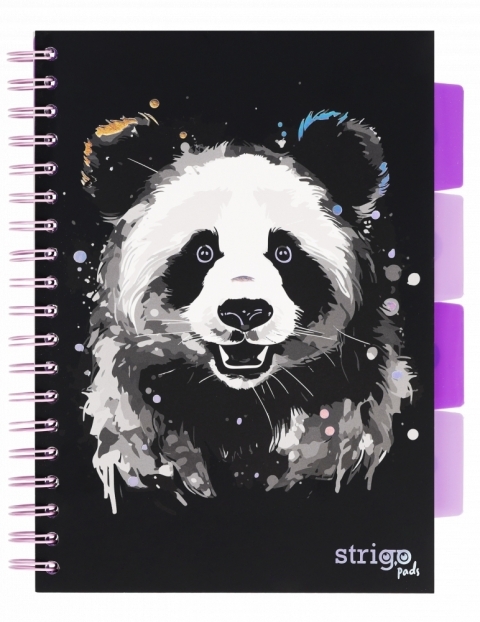 Kołozeszyt Strigo Pads Project Book B5 kratka - Panda -  - książka