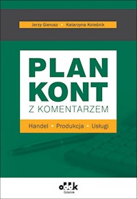 Plan kont z komentarzem - Gierusz Jerzy, Koleśnik Katarzyna - książka