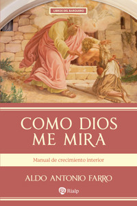 Como Dios me mira - Aldo Antonio Farro Fernández - ebook