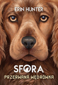 Przerwana wędrówka. Seria Sfora. Tom 4 - Erin Hunter - książka