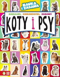 Koty i psy - Maruszczak Marta - książka