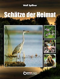 Schätze der Heimat - Wolf Spillner - ebook