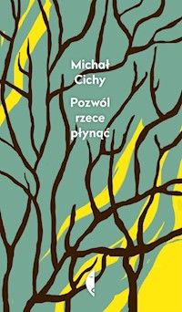 Pozwól rzece płynąć - Michał Cichy - ebook + książka