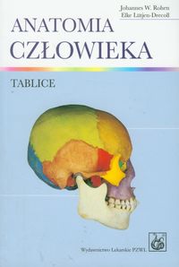 Anatomia człowieka Tablice - Rohen Johannes W., Lutjen-Drecoll Elke - książka