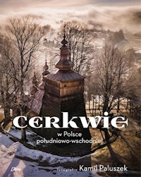 Cerkwie w Polsce południowo-wschodniej - Paluszek Kamil, Giemza Jarosław, Nowak Damian - książka