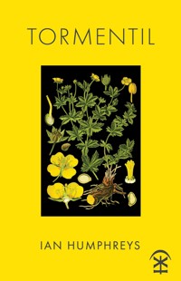Tormentil - Ian Humphreys - ebook