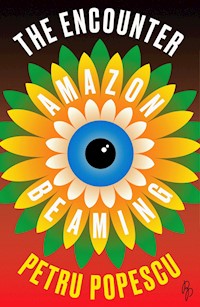 The Encounter - Petru Popescu - ebook