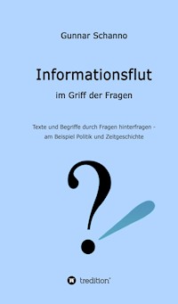 Informationsflut im Griff der Fragen - Gunnar Schanno - ebook
