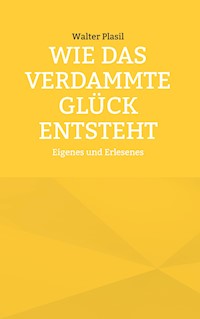 Wie das verdammte Glück entsteht - Walter Plasil - ebook