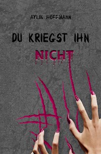 Du kriegst ihn nicht - Aylin Hoffmann - ebook