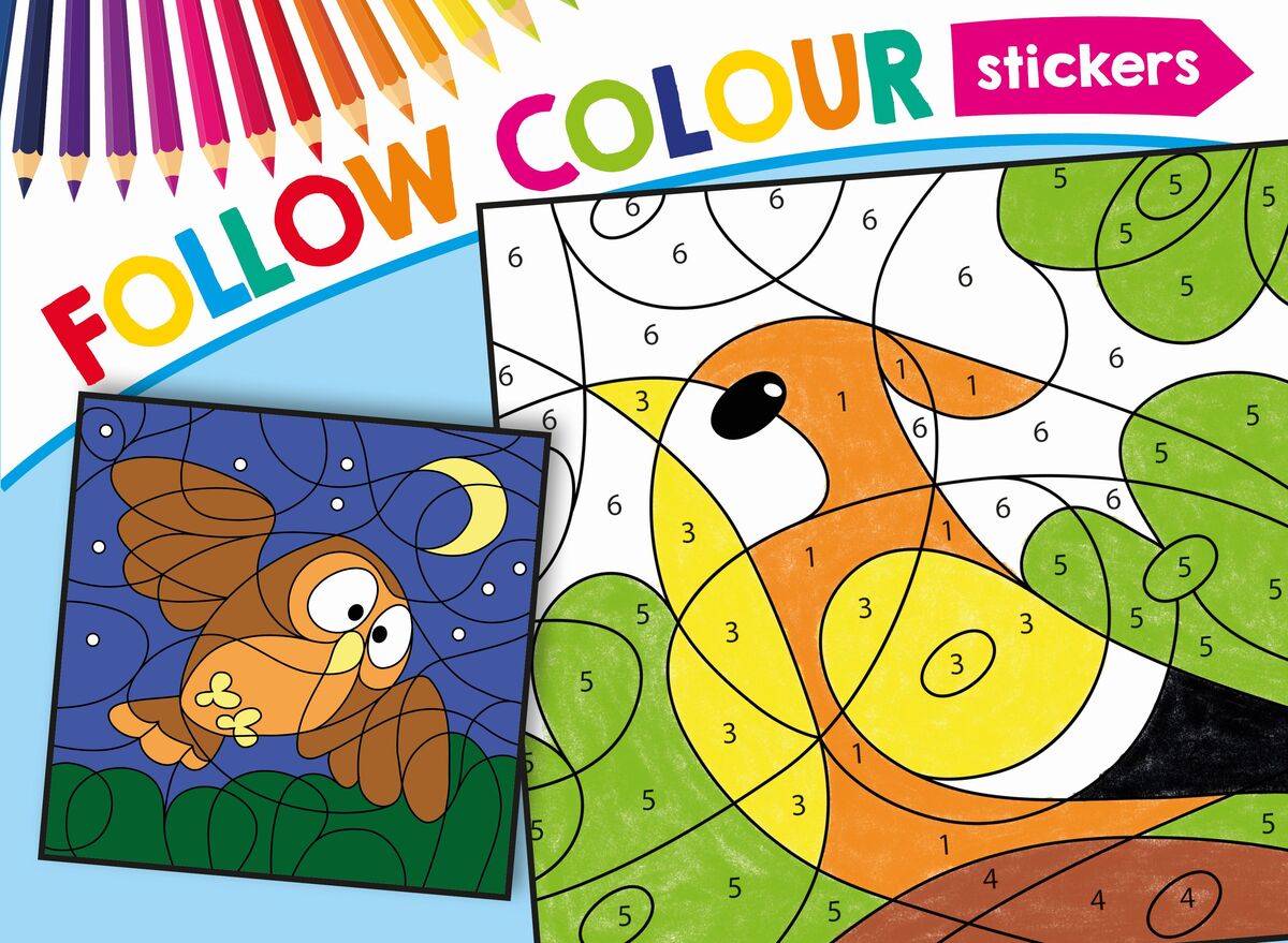 Follow Colour Ptaki - zbiorowa praca - książka