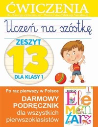 Uczeń na szóstkę. Zeszyt 13 dla klasy 1. Ćwiczenia do `Naszego Elementarza` (MEN) - Wiśniewska Anna - książka