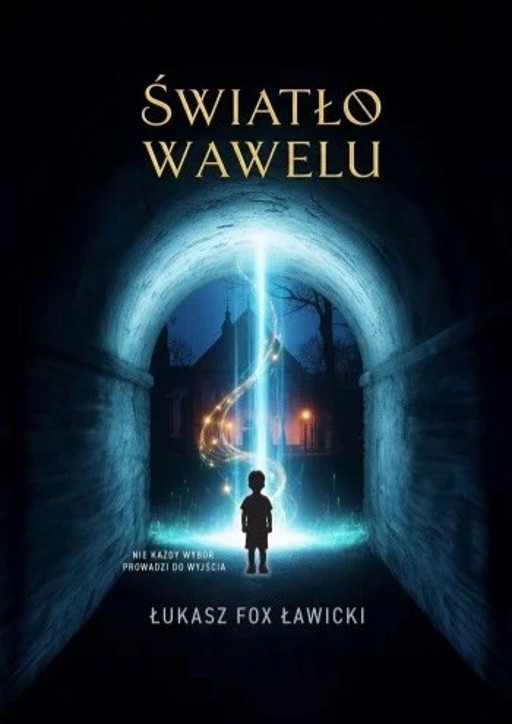 Okładka książki Światło Wawelu