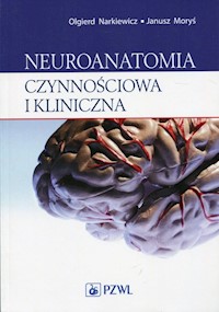 Neuroanatomia czynnościowa i kliniczna - Narkiewicz Olgierd, Moryś Janusz - książka