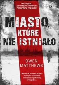 Miasto, które nie istniało - Matthews Owen - książka