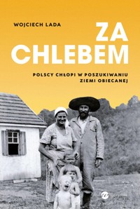 Za chlebem - Lada Wojciech - książka