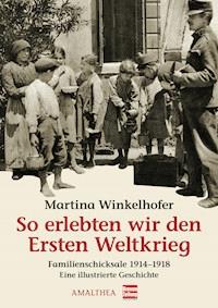 So erlebten wir den Ersten Weltkrieg - Winkelhofer Martina - ebook