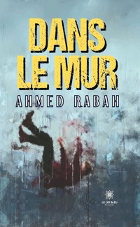 Dans le mur - Ahmed Rabah - ebook