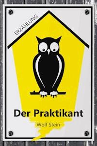 Der Praktikant - Wolf Stein - ebook