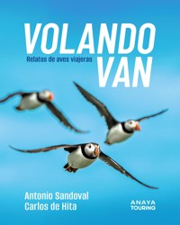 Volando van - Antonio Juan Sandoval Rey - ebook