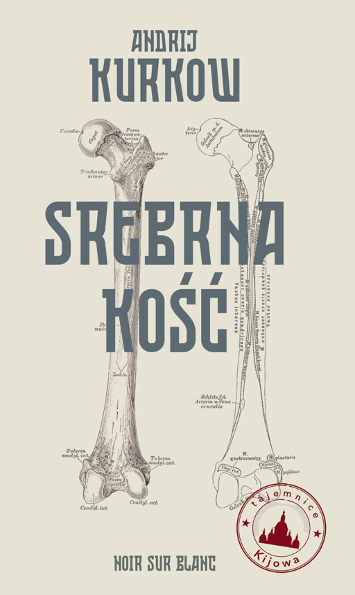 Okładka książki Tajemnice Kijowa. Srebrna kość. Tajemnice Kijowa