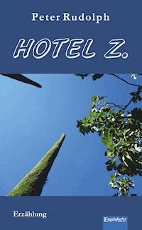 Hotel Z - Peter Rudolph - ebook