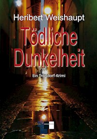 Tödliche Dunkelheit - Heribert Weishaupt - ebook