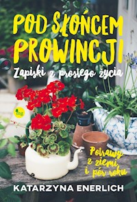 Pod słońcem prowincji - Katarzyna Enerlich - książka