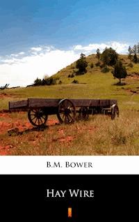 Hay Wire - B.M. Bower - ebook