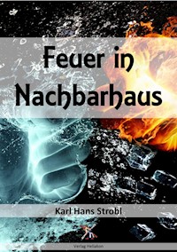 Feuer in Nachbarhaus - Karl Hans Strobl - ebook