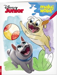 Disney Junior Maluj wodą - - książka