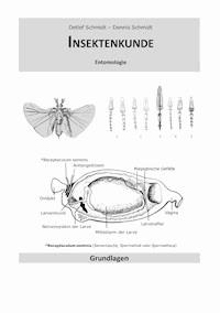 Insektenkunde - Detlef Schmidt - ebook