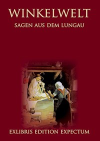Winkelwelt - Sagen aus dem Lungau - Edition Exlibris Expectum - Jörg Krogull - ebook
