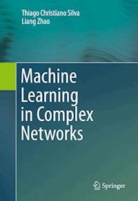Machine Learning in Complex Networks - Thiago Christiano Silva - ebook