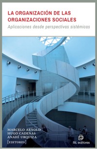 La organización de las organizaciones sociales: aplicaciones desde perspectivas sistémicas - Hugo Cadenas - ebook