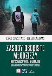 Zasoby osobiste młodzieży nieprzystosowanej społecznie - Łukasz Kwadrans, Konaszewski Karol - książka