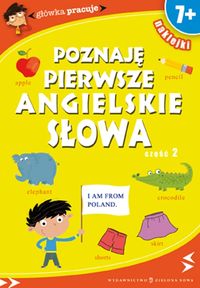 Główka pracuje - Orowiecka Iwona - książka