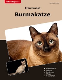 Traumrasse Burmakatze - Kornelia Schneider - ebook