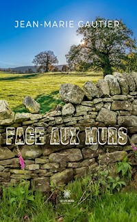 Face aux murs - Jean-Marie Gautier - ebook