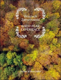 Birdy peak experience - Zamysłowski Wojciech - książka