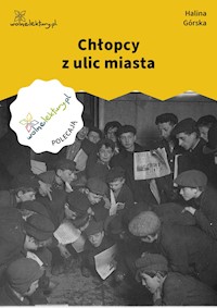 Chłopcy z ulic miasta - Górska Halina - ebook