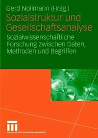 Sozialstruktur und Gesellschaftsanalyse - - ebook