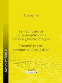 Le naufrage de La Jeannette dans l'océan glacial arctique - Ligaran - ebook