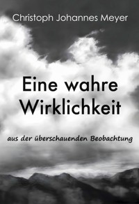 Eine wahre Wirklichkeit - Christoph Johannes Meyer - ebook